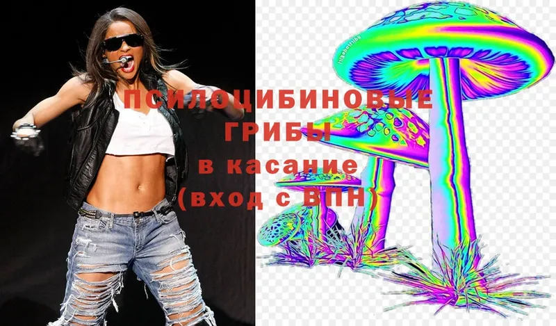 Галлюциногенные грибы Magic Shrooms  купить наркотик  Курган 